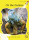 On the Outside by Pam Holden, 9781776540648