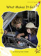 What Makes It Go? by Pam Holden, 9781877435003