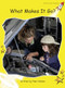 What Makes It Go? by Pam Holden, 9781877435003