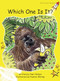 Which One Is It? by Pam Holden, Pauline Whimp, 9781877419218