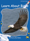 Learn about Birds Big Book Edition by Pam Holden, 9781776542130