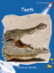 Teeth - 9781877419355 by Julie Ellis, 9781877419355