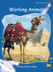 Working Animals by Pam Holden, 9781877490156