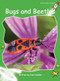 Bugs and Beetles by Pam Holden, 9781776541379