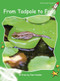 From Tadpole to Frog by Pam Holden, 9781776541423