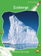 Icebergs - 9781877490255 by John Lockyer, 9781877490255