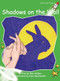 Shadows on the Wall - 9781877419690 by Pam Holden, Jane MacDonald, 9781877419690