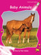Baby Animals - 9781877435911 by Pam Holden, 9781877435911