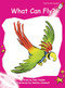 What Can Fly? by Pam Holden, Sandra Cammell, 9781877363955
