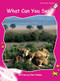 What Can You See? - 9781877419256 by Pam Holden, 9781877419256