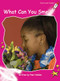What Can You Smell? by Pam Holden, 9781877435966