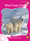 What Feels Cold? by Pam Holden, 9781877419232