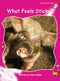 What Feels Sticky? by Pam Holden, 9781877419911
