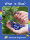 What Is Blue? by Pam Holden, 9781776542246