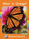 What Is Orange? by Pam Holden, 9781776542277