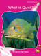 What Is Quiet? by Pam Holden, 9781877419928