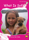 What Is Soft? - 9781927197646 by Pam Holden, 9781927197646