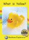 What Is Yellow? by Pam Holden, 9781776542307