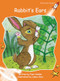 Rabbit's Ears Big Book Edition by Pam Holden, Lamia Aziz, 9781776542383