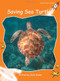 Saving Sea Turtles by Julie Suess, 9781776541829