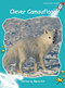 Clever Camouflage - 9781877435652 by Maria Gill, 9781877435652