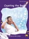 Counting the Beat by John Lockyer, 9781776540877