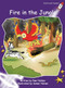 Fire in the Jungle by Pam Holden, Samer Hatam, 9781877363733