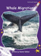 Whale Migrations by Rachel Walker, 9781927197486