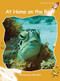 At Home on the Reef by Julie Ellis, 9781877435706