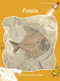 Fossils - 9781877435232 by John Lockyer, 9781877435232