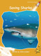 Saving Sharks by John Lockyer, 9781776851263
