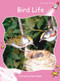 Bird Life by Pam Holden, 9781877506024