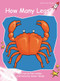 How Many Legs? by Pam Holden, Samer Hatam, 9781776541102