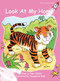 Look at My Home by Pam Holden, Jacqueline East, 9781877363047