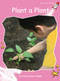 Plant a Plant by Pam Holden, 9781877490583