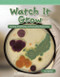 Watch It Grow by Lori Barker, 9781433334542