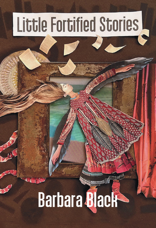 Little Fortified Stories by Barbara Black, 9781773861401