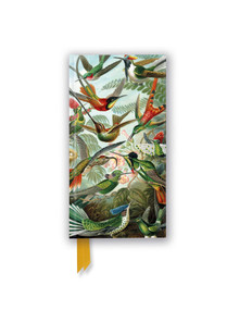 Ernst Haeckel: Hummingbirds (Foiled Slimline Journal) by Flame Tree Studio, 9781804179161