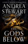 The Gods Below by Andrea Stewart, 9780316564892