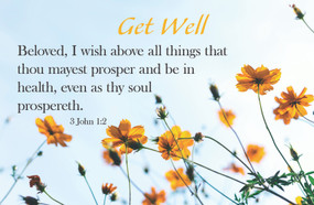 Get Well Postcard: Get Well Flowers (Package of 25) (3 John 1:2 (KJV)) by Broadman Church Supplies Staff, 9781087775265