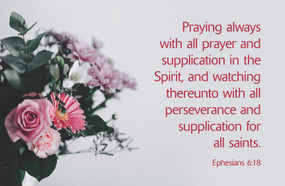 Praying for You Postcard: Prayer Bouquet (Package of 25) (Ephesians 6:18 (KJV)) by Broadman Church Supplies Staff, 9781087775272