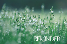 Reminder Postcard: Reminder (Package of 25) (Reminder...) by Broadman Church Supplies Staff, 9781087775289