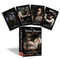 A Gothic Witch's Oracle ((40 Full-Color Cards and 188-Page Guidebook)) by Raven Digitalis, John Santerineross, 9781959883692