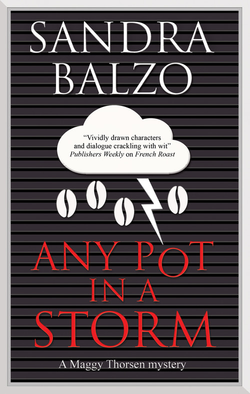 Any Pot in a Storm - 9781448314492 by Sandra Balzo, 9781448314492