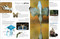 Eyewitness Animal by DK, 9780593843819