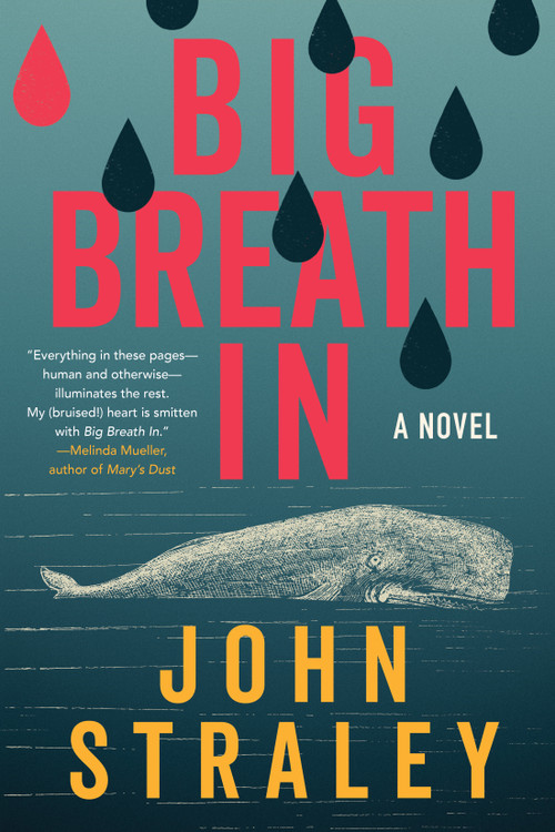 Big Breath In by John Straley, 9781641296540