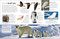 Eyewitness Animal - 9780593843826 by DK