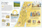 The Bible Atlas (A Pictorial Guide to the Holy Lands) by DK, Brian Delf, 9780744092844