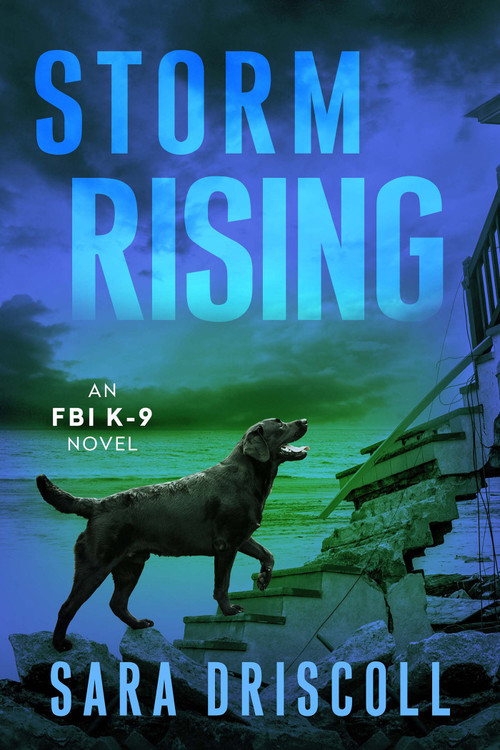 Storm Rising - 9781496754349 by Sara Driscoll, 9781496754349