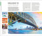 DK Australia - 9780241677124 by DK Travel